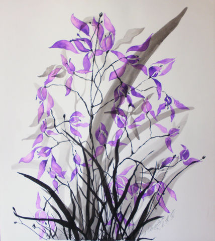 Orquidea