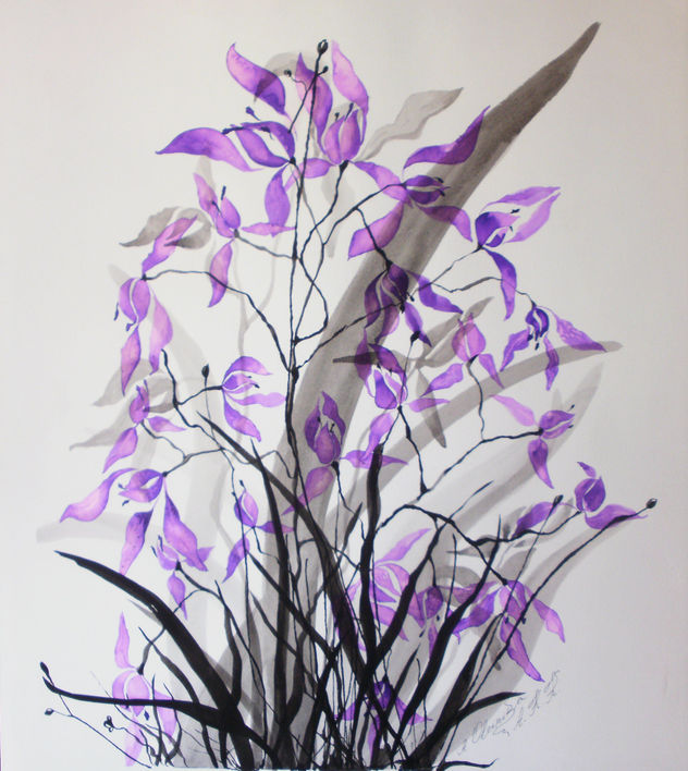 ORQUIDEA