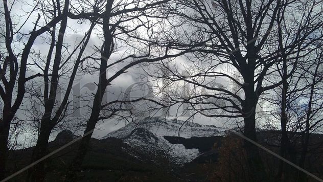 PICO OCEJON