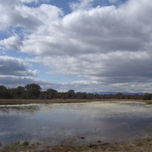 MIS FOTOGRAFIAS thumbnail 2