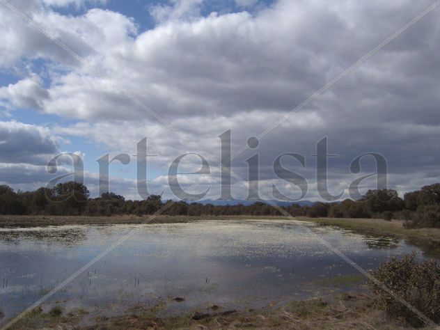 LAGUNA CON FLORES