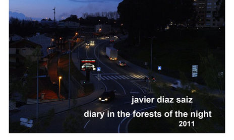 in the forests of the night