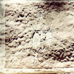 grabados prehistóricos thumbnail 2
