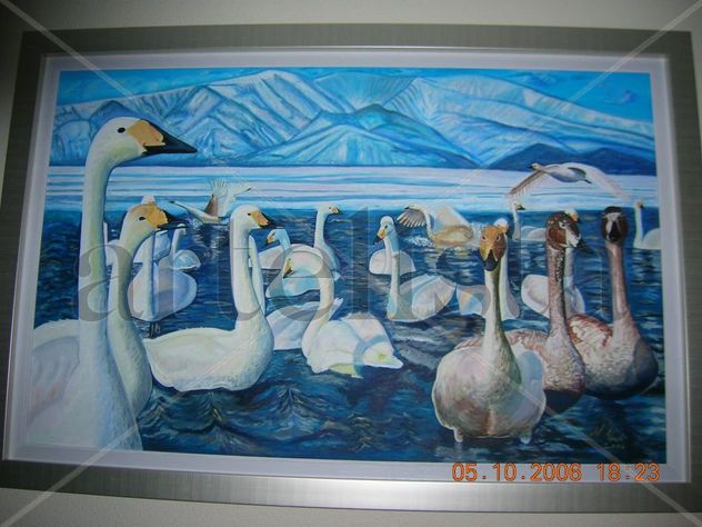 cisnes cantores