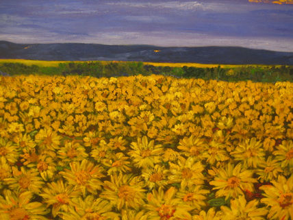 girasoles a...