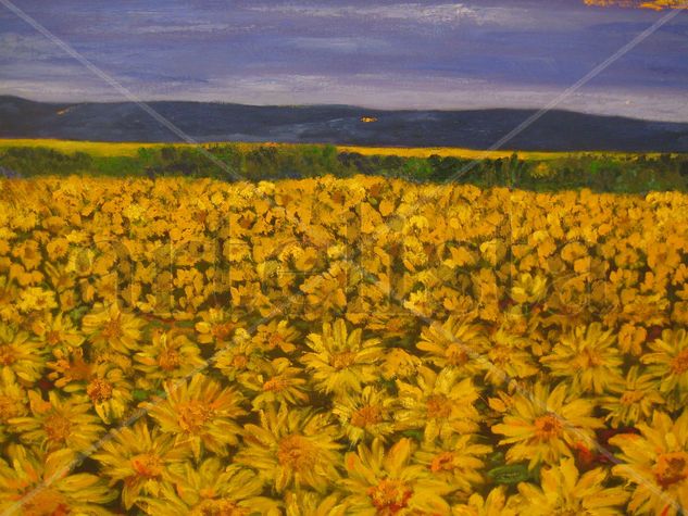 girasoles a Palafrugell Oil Canvas Landscaping