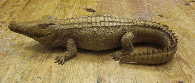 cocodrilo