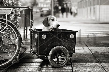La espera.