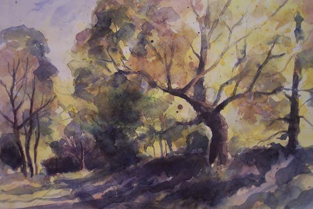 Camino entre árboles Watercolour Paper Landscaping