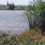 Paisajes de San Pedro, Buenos Aires thumbnail 1