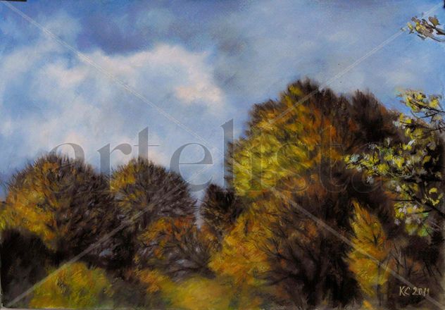 Burning forest
