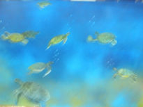 Tortugas