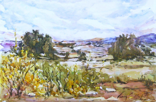 Campos de Belgida, Dia de Verano Watercolour Paper Landscaping