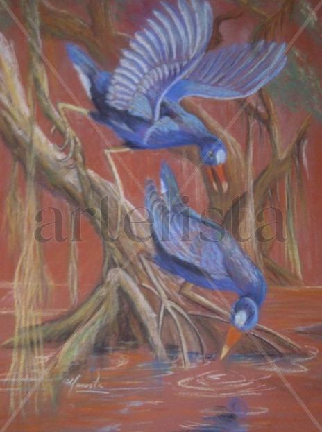 Aves