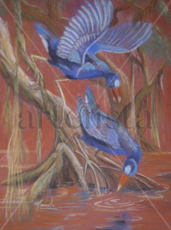 Aves