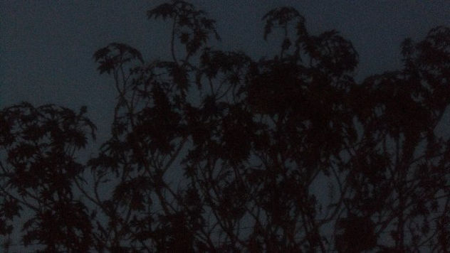 Mirar atrvez de la oscuridad