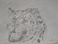 Leopardo rugiendo