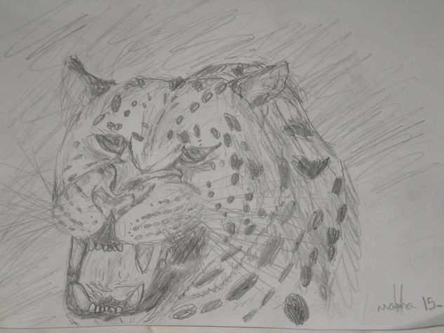 Leopardo rugiendo Pencil