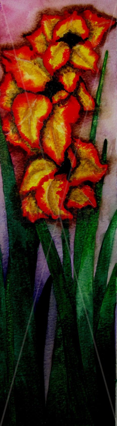 Flores de platanillo