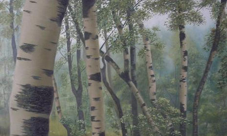 Paisaje