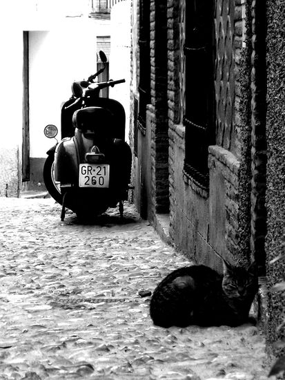 callejon Travel Black and White (Digital)