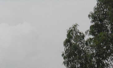 Miradas al Cielo