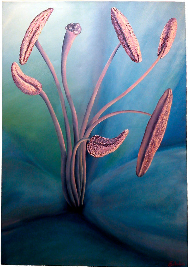 Blooming-Lilium