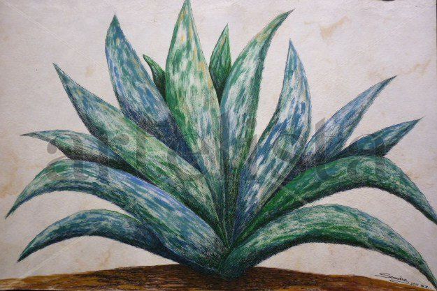 MAGUEY MEXICANO Gouache Papel Paisaje