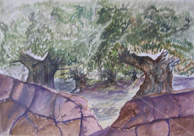 Huerto de olivos con muro Acuarela Papel Paisaje