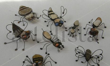 BICHOS