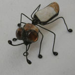 BICHOS thumbnail 2