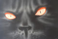 Gato Negro