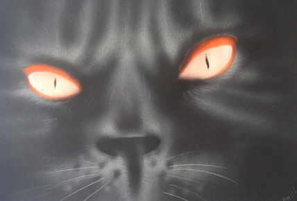 Gato Negro