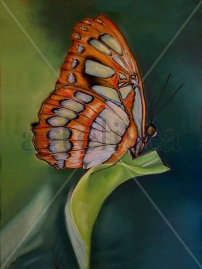 Mariposa Pastel Card Animals