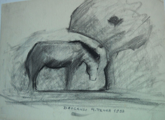 Caballo Charcoal