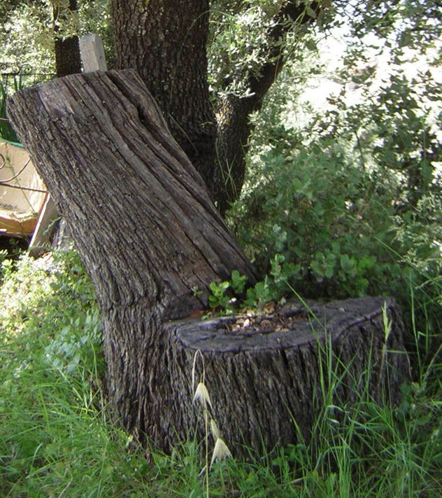 AFF RA SITTING SUNSET THRONE !!! 641/2011