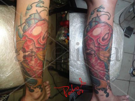 Carpa China 02
