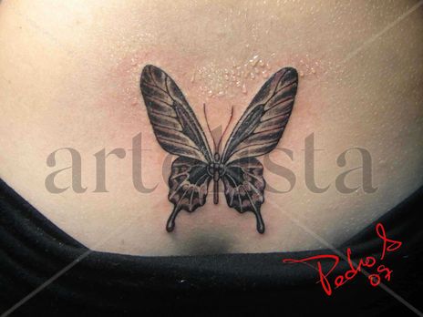 Mariposas 02