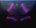 MARIPOSA