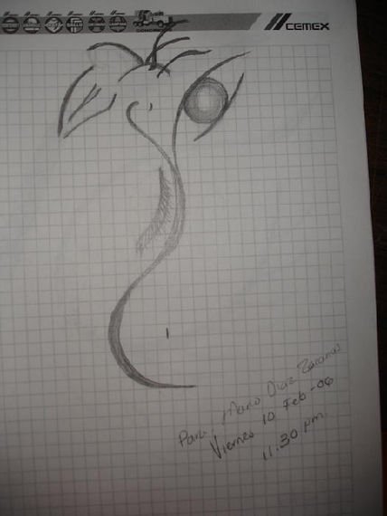 Flor
