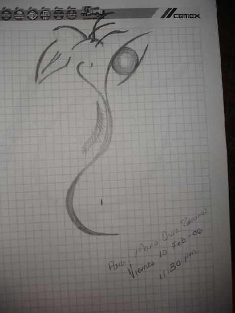 Flor
