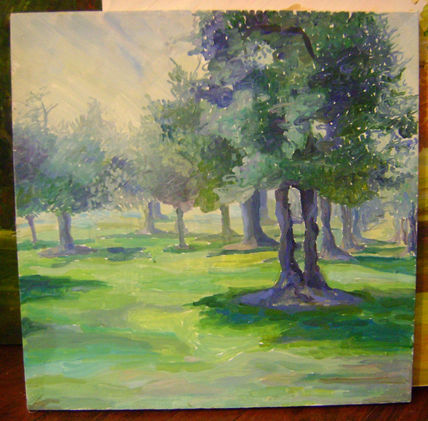 Paisaje11