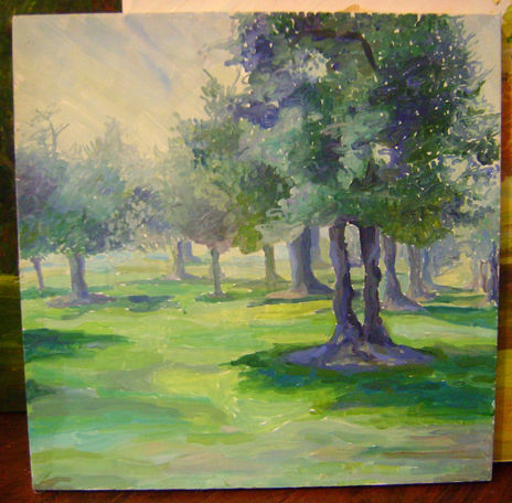 Paisaje11