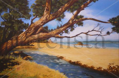 Wellingtons Bay NZ