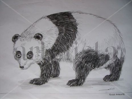 O grande urso Panda