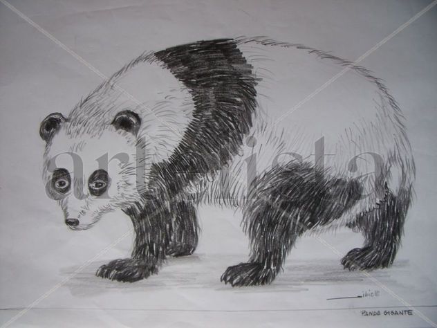 O grande urso Panda