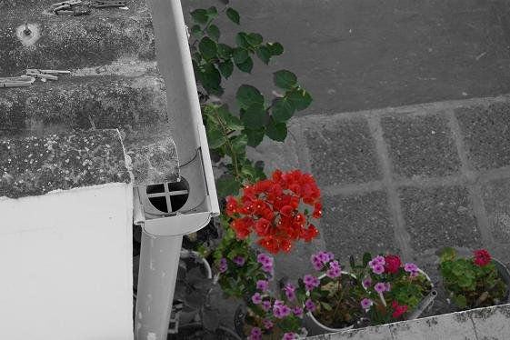 flor
