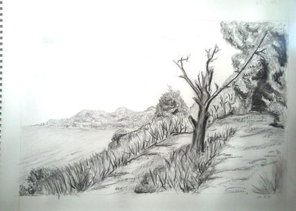 Paisaje de la costa...