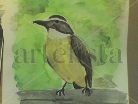 Pajaro