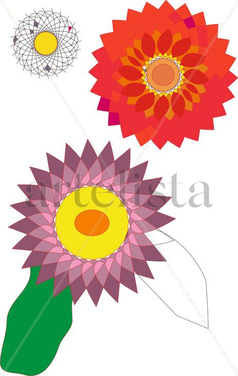 Flores geometricas